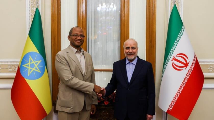 Iranpress: Iran, Ethiopia Parliament Speakers Hold Press Conference