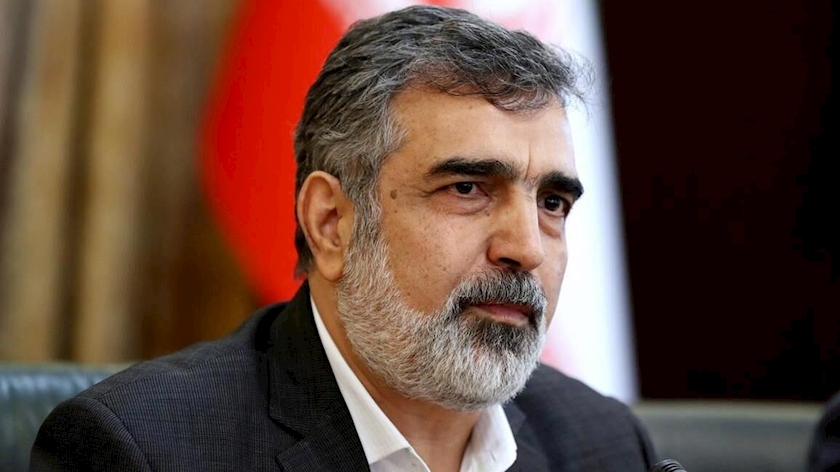 Iranpress: Iran Registers Three Major Nuclear Achievements: AEOI Spokesman