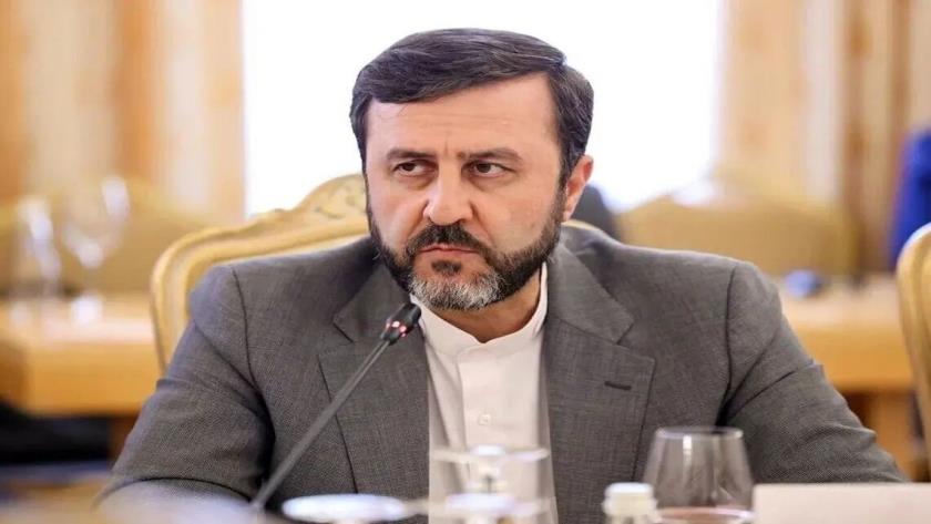 Iranpress: Deputy FM: Self-Proclaimed Human Rights Advocates Are Iran’s Main Violators