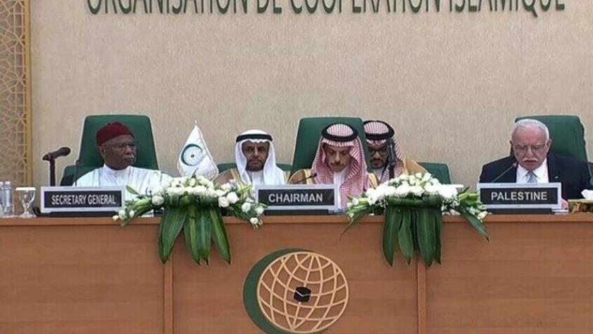 Iranpress: OIC Warns of Escalating Tensions Against Iran