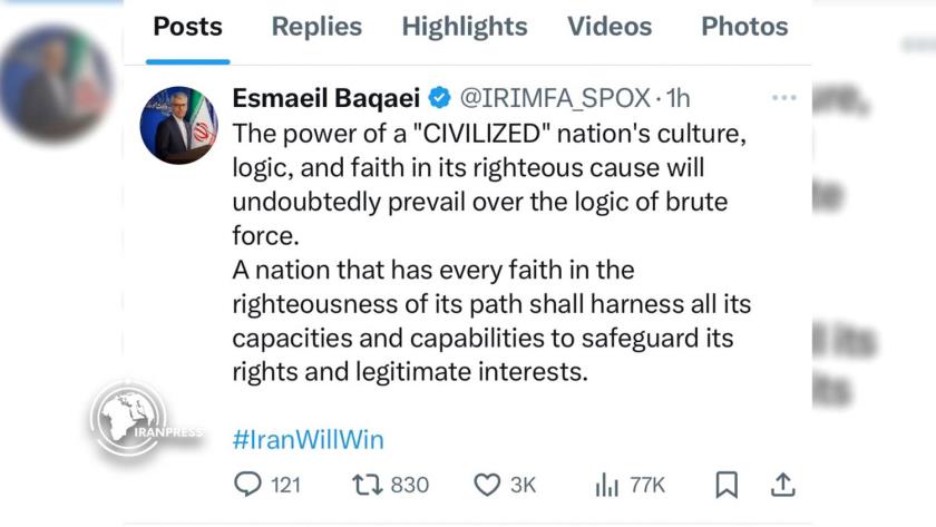 Iranpress: FM Spox: Iran Benefits All Potentials to Defend Itself