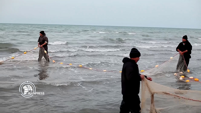 Iranpress: La saison de pêche dans la mer caspienne