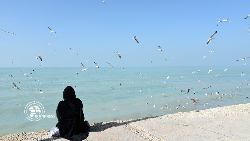 Iranpress: La région du littoral du Golfe Persique dans le sud-ouest de l
