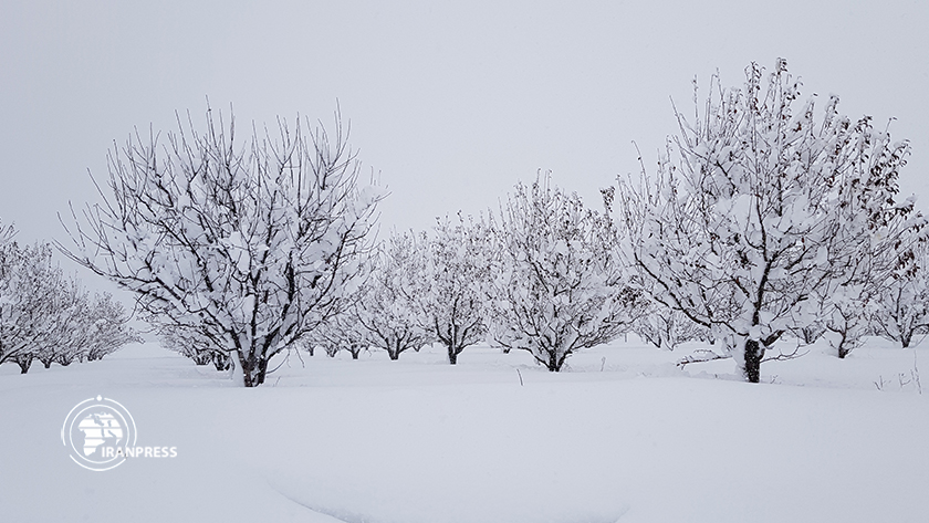 Iranpress: Margavar, Couverture de neige