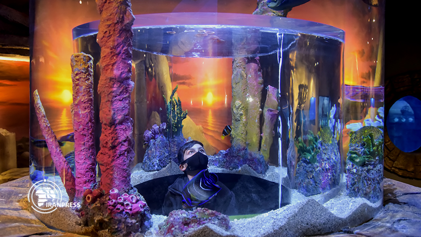 Iranpress: Tourisme agréable dans le plus grand aquarium d
