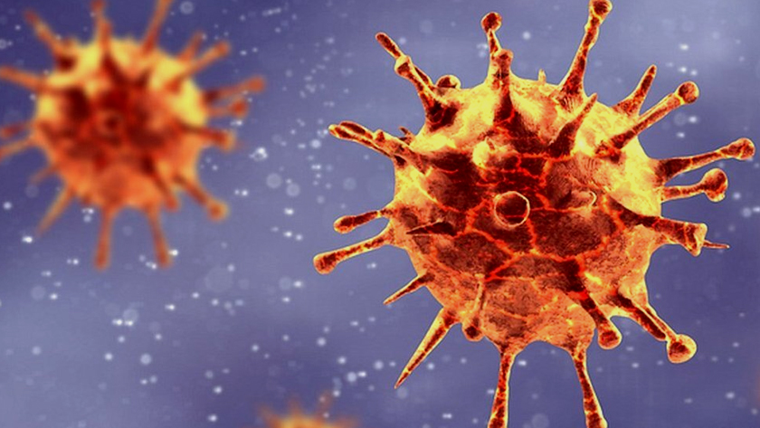 Iranpress: Lot de mutations de coronavirus locales observées aux États-Unis