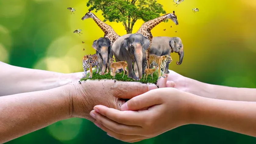 Iranpress: Journée mondiale de la vie sauvage 2021: Forêts et moyens d