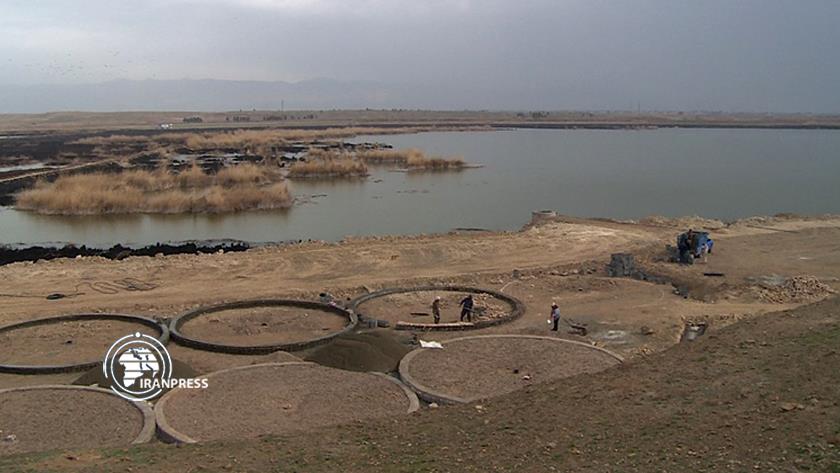 Iranpress: Achgabat de Varamin; une zone humide hospitalière pour les oiseaux migrateurs, les amateurs d