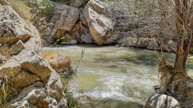 Iranpress: La rivière de Gholjogh, un paradis perdu au nord-est de l