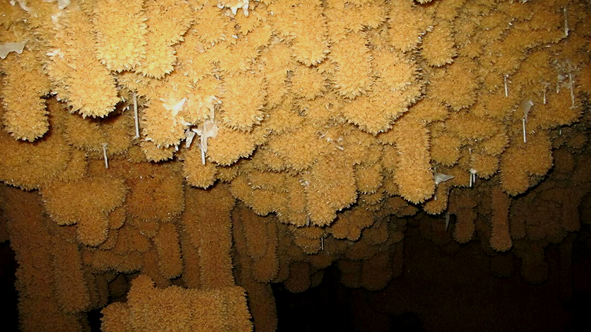 Iranpress: La grotte de Zarrin; Couloirs mystérieux de stalactites 