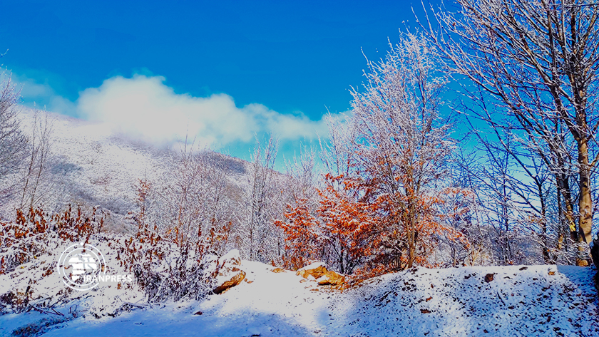Iranpress: Belle vue sur la nature enneigée de la région touristique de Tuskistan