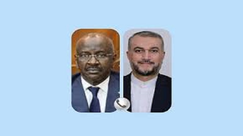 Iranpress: Développement des relations bilatérales Iran-Mauritanie