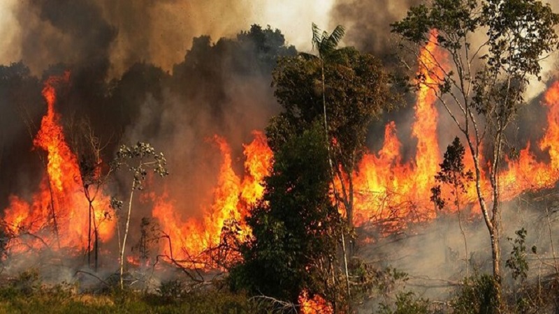 Iranpress: Violents feux de forêt dans le nord du Maroc, 500 familles évacuées