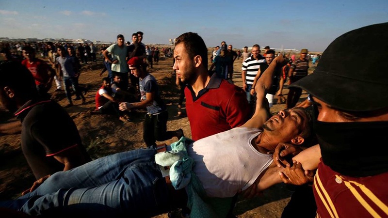 Iranpress: Rassemblement devant le bureau du premier ministre britannique en soutien à Gaza