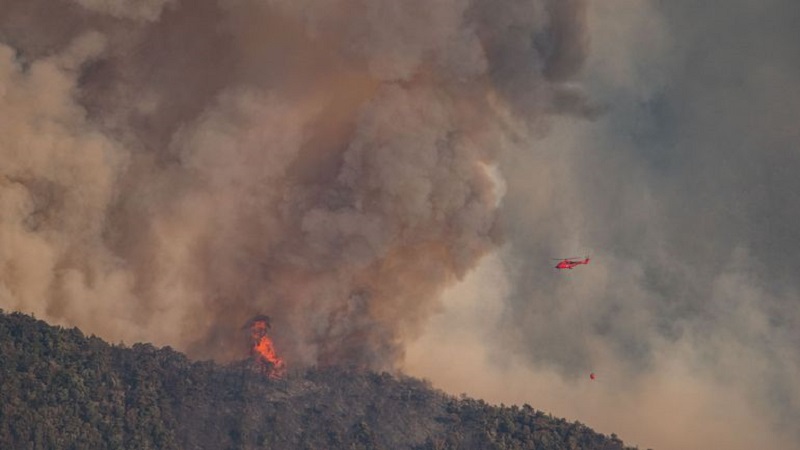 Iranpress: 378 hectares brûlés dans la Drôme, le feu toujours pas fixé