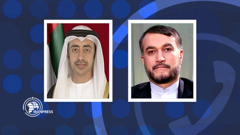 Iranpress: Les EAU soulignent le développement de la coopération avec Téhéran