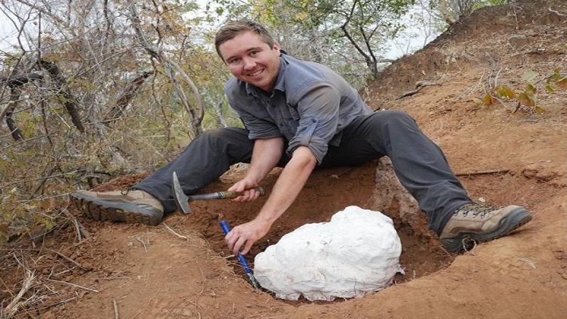 Iranpress: Le plus vieux dinosaure d’Afrique découvert au Zimbabwe
