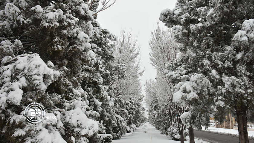 Iranpress: La belle nature enneigée de Téhéran