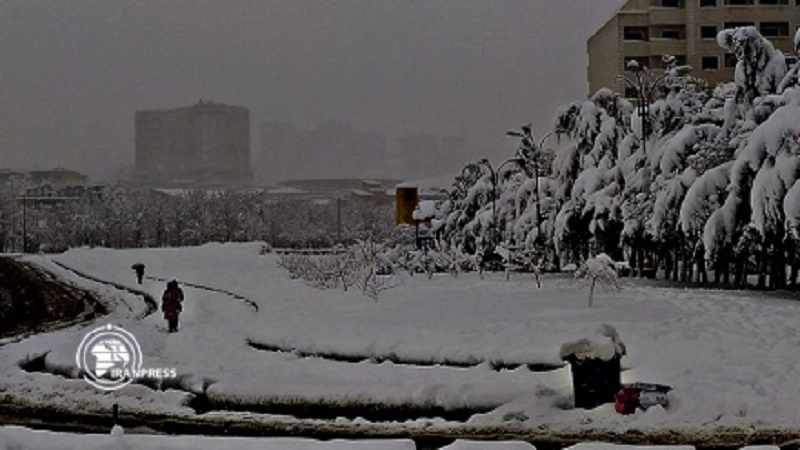 Iranpress: Sanandaj entouré de neige ; Le boom des jeux d