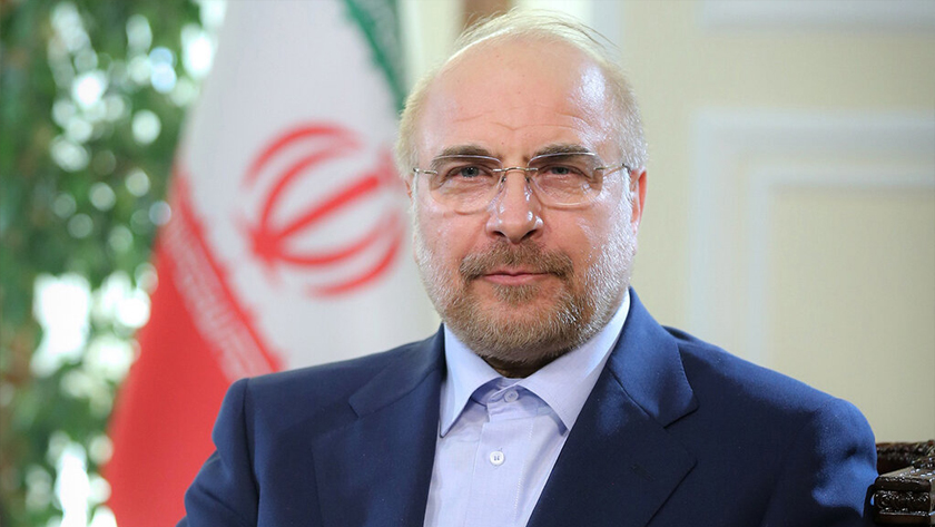 Iranpress: Le président du Parlement iranien félicite l