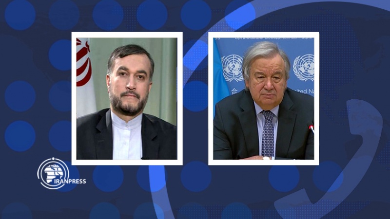 Iranpress: Entretien téléphonique du haut diplomate iranien et le secrétaire général de l