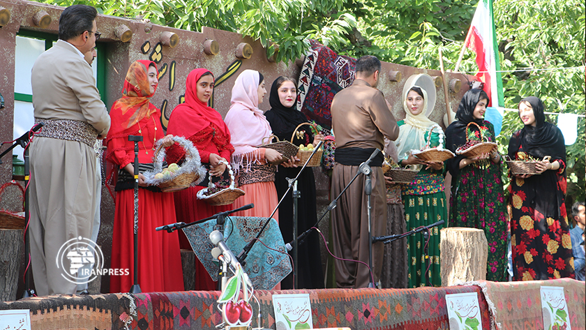 Iranpress: Le festival des cerises à Ochnaviyeh