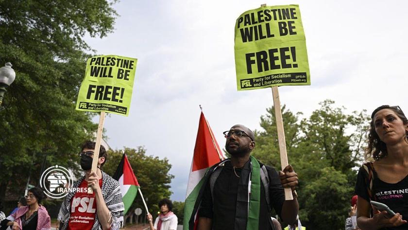Iranpress: Rassemblement de solidarité avec la cause de la Palestine à Washington