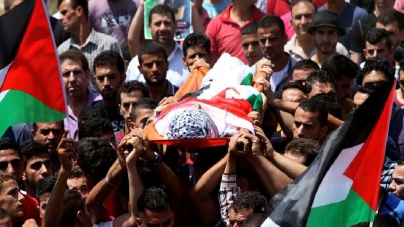 Iranpress: Le martyre de 172 Palestiniens depuis le début de cette année