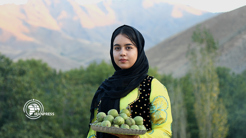 Iranpress:  Fête de la noix dans le village touristique de Heidare Ghazi Khan