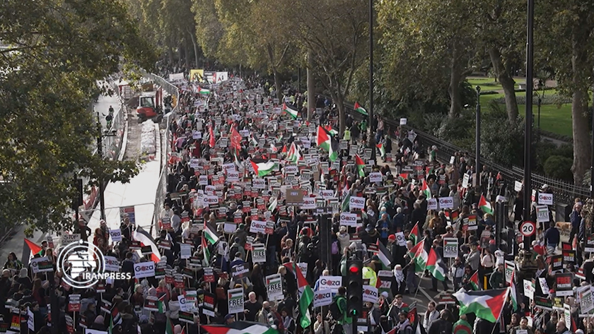 Iranpress: La vague mondiale de soutien populaire au peuple opprimé de Gaza