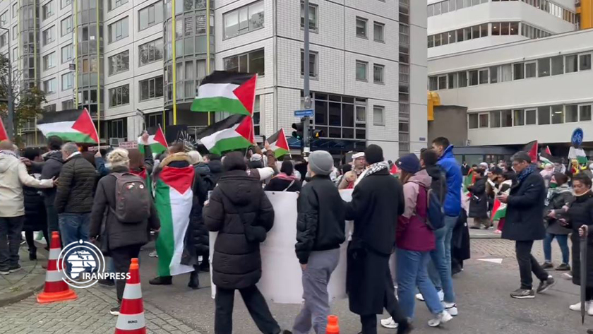 Iranpress: Manifestation de partisans du peuple opprimé de Gaza à Rotterdam, Pays-Bas
