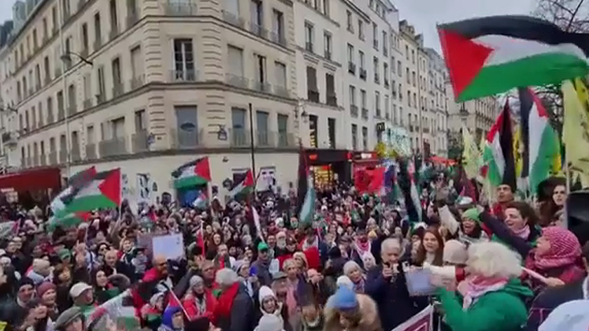 Iranpress: Manifestation de milliers de personnes à Paris en soutien à Gaza