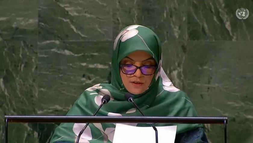 Iranpress: La diplomate iranienne condamne la poursuite d