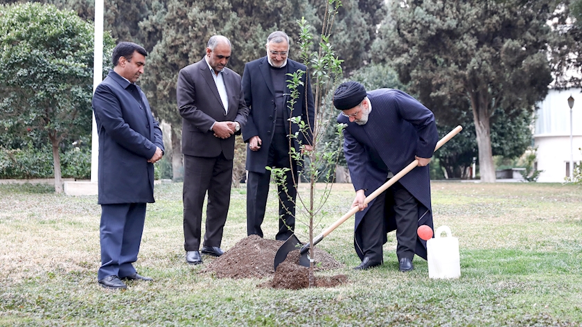 Iranpress: Le président iranien plante un jeune arbre à l