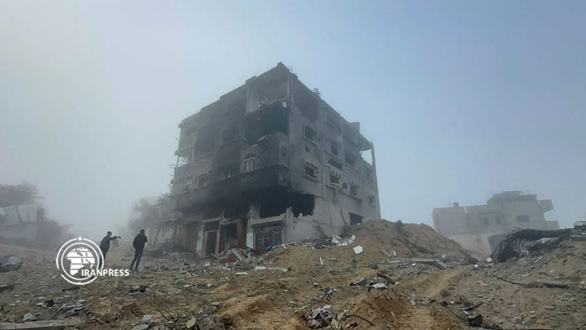 Iranpress: Le silence de la communauté internationale au milieu du désastre humanitaire à Gaza