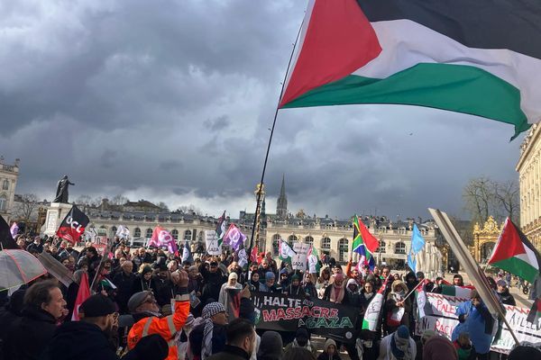 Iranpress: Manifestants pro-Palestine en France : « Macron, Biden, pas d’armes pour Israël »