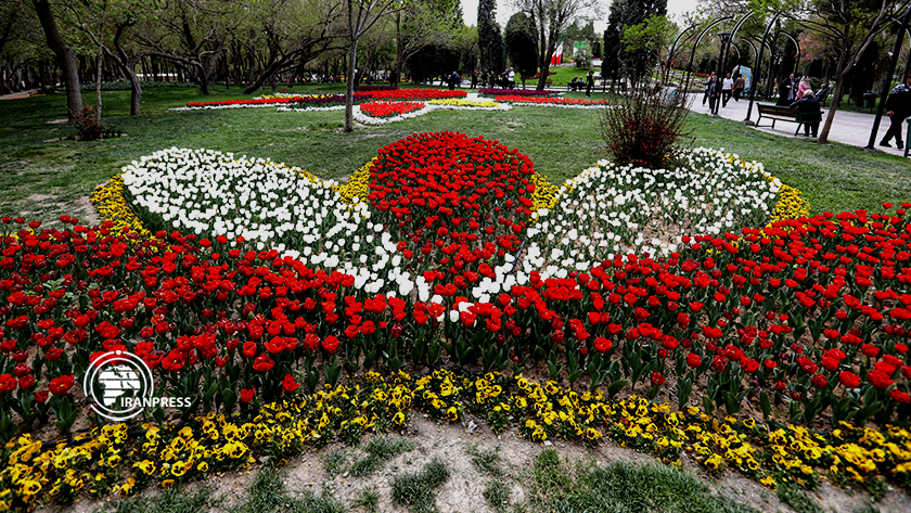 Iranpress: Festival de la beauté des tulipes colorées à Mashhad, en Iran 