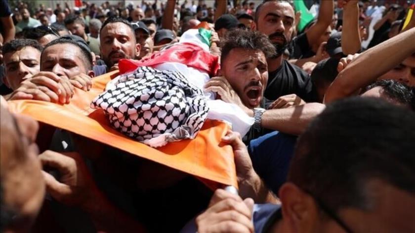 Iranpress: Le nombre des martyrs de Gaza dépasse les 36 800