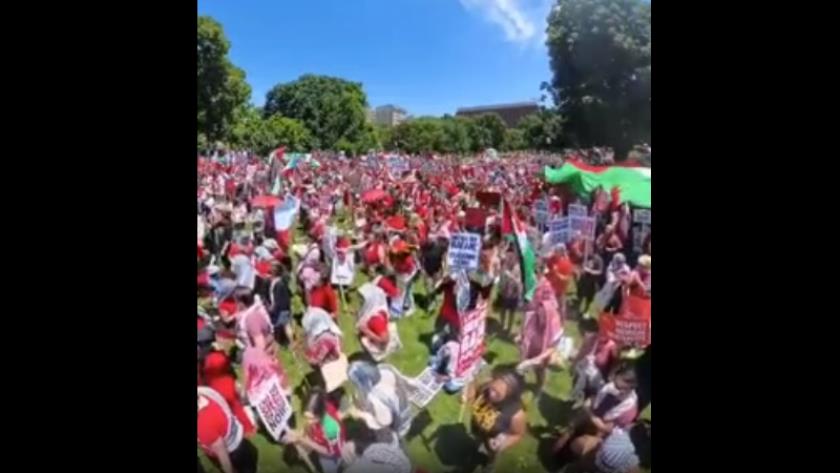 Iranpress: Rassemblement de partisans de la nation palestinienne devant la Maison Blanche