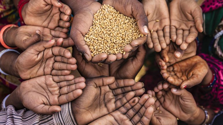Iranpress: La faim dans le monde ne recule pas, affectant 733 millions de personnes en 2023