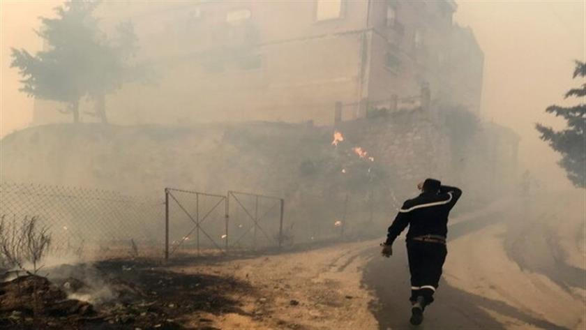 Iranpress: Algérie : des incendies attisés par la canicule font plus de 40 morts