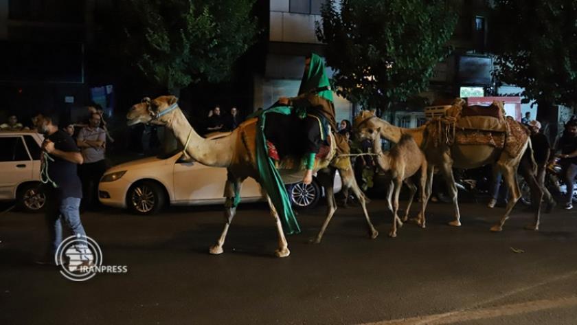 Iranpress: Le mouvement symbolique de la caravane de Karbala à Téhéran