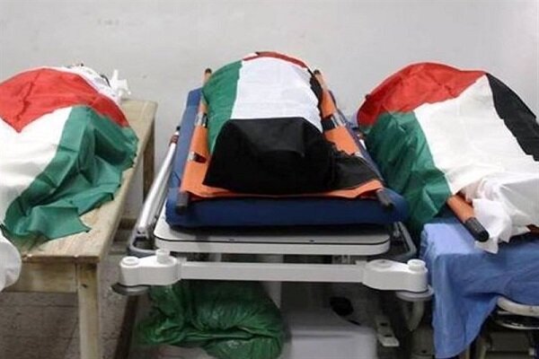 Gaza Health Ministry: Organ Theft Found in Returned Palestinian Bodies